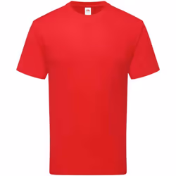 Fruit of the Loom Unisex Adult Cotton T-Shirt - M, Red