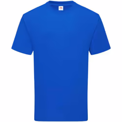 Fruit of the Loom Unisex Adult Cotton T-Shirt - M, Royal Blue