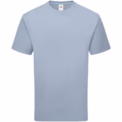 Fruit of the Loom Unisex Adult Cotton T-Shirt - S, Mineral Blue