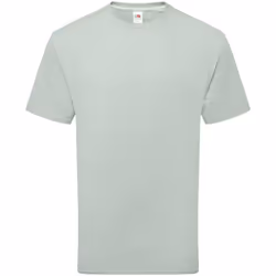 Fruit of the Loom Unisex Adult Cotton T-Shirt - S, Sage
