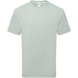 Fruit of the Loom Unisex Adult Cotton T-Shirt - S, Sage