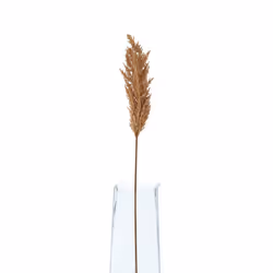Hill Interiors Dried Pampas Grass Artificial Flower