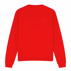 Star Trek Unisex Adult Everything Sweatshirt - M, Red