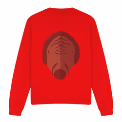 Star Trek Unisex Adult The Next Gen Klingon Sweatshirt - XXL, Red