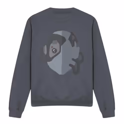 Star Trek Unisex Adult The Borg Sweatshirt - S, Charcoal