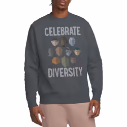 Star Trek Unisex Adult The Celebrate Diversity Sweatshirt - L, Charcoal