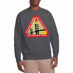 Star Trek Unisex Adult Starfleet Academy Sweatshirt - M, Charcoal