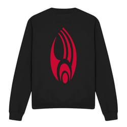 Star Trek Unisex Adult Borg Logo Sweatshirt - S, Black