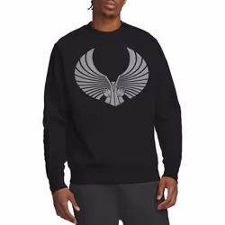 Star Trek Unisex Adult Romulan Logo Sweatshirt - XL, Black
