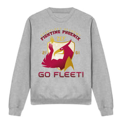 Star Trek Unisex Adult Fighting Phoenix Sweatshirt - XXL, Sport Heather