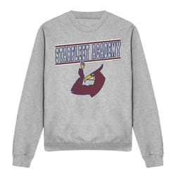 Star Trek Unisex Adult Phoenix Sweatshirt - XXL, Sport Heather