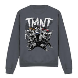 Teenage Mutant Ninja Turtles Unisex Adult TMNT Team Sweatshirt - XXL, Charcoal