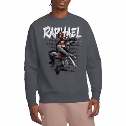 Teenage Mutant Ninja Turtles Unisex Adult Raphael Sweatshirt - L, Charcoal