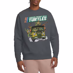 Teenage Mutant Ninja Turtles Unisex Adult Van Sweatshirt - S, Charcoal