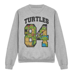 Teenage Mutant Ninja Turtles Unisex Adult 84 Turtles Sweatshirt - L, Sport Heather