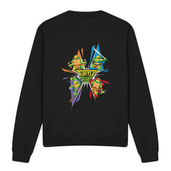 Teenage Mutant Ninja Turtles Unisex Adult Turtle Power Sweatshirt - S, Black