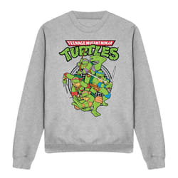 Teenage Mutant Ninja Turtles Unisex Adult Group Sweatshirt - L, Sport Heather
