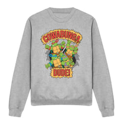 Teenage Mutant Ninja Turtles Unisex Adult Cowabunga Dude Sweatshirt - M, Sport Heather