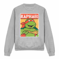 Teenage Mutant Ninja Turtles Unisex Adult Raphael Sweatshirt - S, Sport Heather