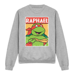 Teenage Mutant Ninja Turtles Unisex Adult Raphael Sweatshirt - XL, Sport Heather