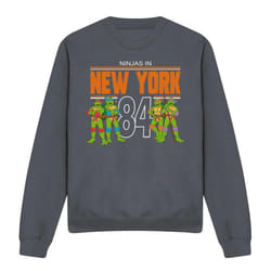 Teenage Mutant Ninja Turtles Unisex Adult TMNT NYC Sweatshirt - XXL, Charcoal