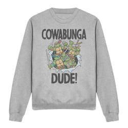 Teenage Mutant Ninja Turtles Unisex Adult Cowabunga Dude Sweatshirt - XL, Sport Heather