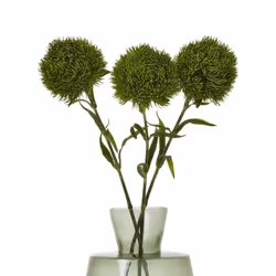 Hill Interiors Dianthus Artificial Plant - 53cm, Dark Green