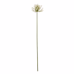 Hill Interiors Agapanthus Artificial Flower Spray - One Size, Cream