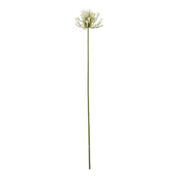Hill Interiors Agapanthus Artificial Flower Spray - One Size, Cream