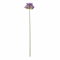 Hill Interiors Agapanthus Artificial Flower Spray - One Size, Lilac