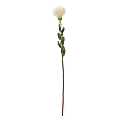 Hill Interiors Pincushion Protea Spray Artificial Flower