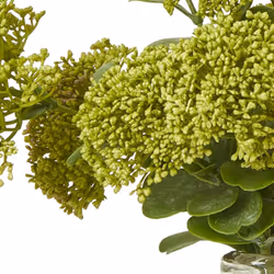 Hill Interiors Sedum Spray Artificial Flower - One Size, Green
