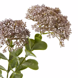 Hill Interiors Sedum Spray Artificial Flower - One Size, Purple