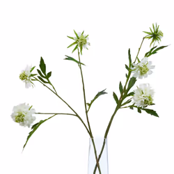 Hill Interiors The Natural Garden Collection Scabious Stem Artificial Plant - One Size, White