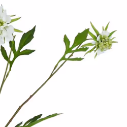 Hill Interiors The Natural Garden Collection Scabious Stem Artificial Plant - One Size, White