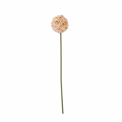 Hill Interiors The Natural Garden Collection Allium Artificial Flower - One Size, Apricot/White