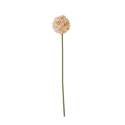 Hill Interiors The Natural Garden Collection Allium Artificial Flower - One Size, Apricot/White