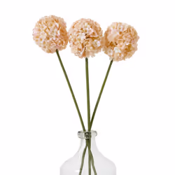 Hill Interiors The Natural Garden Collection Allium Artificial Flower - One Size, Apricot/White