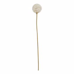 Hill Interiors The Natural Garden Collection Allium Artificial Flower - One Size, White