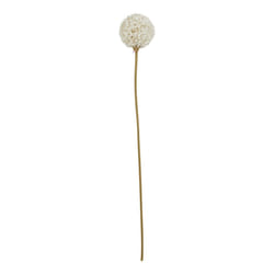 Hill Interiors The Natural Garden Collection Allium Artificial Flower - One Size, White