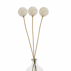 Hill Interiors The Natural Garden Collection Allium Artificial Flower - One Size, White