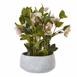 Hill Interiors Hellebore Artificial Potted Plant