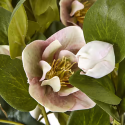 Hill Interiors Hellebore Artificial Potted Plant
