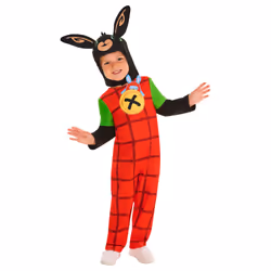 Bing Childrens/Kids Deluxe Costume Set - 2-3 Years, Multicoloured