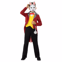 Smiffys Childrens/Kids Rabbit Costume Set