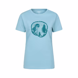 Mountain Warehouse Womens/Ladies Tree Ring Relaxed Fit T-Shirt - 14 UK, Mint