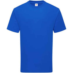 Fruit of the Loom Unisex Adult Cotton T-Shirt - XL, Royal Blue