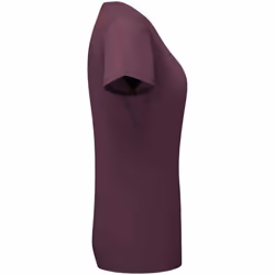 Fruit of the Loom Womens/Ladies Iconic 195 T-Shirt - S, Dark Plum