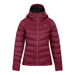 Dare 2B Womens/Ladies Torrek Baffled Padded Jacket - 10 UK, Fig
