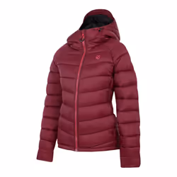 Dare 2B Womens/Ladies Torrek Baffled Padded Jacket - 10 UK, Fig